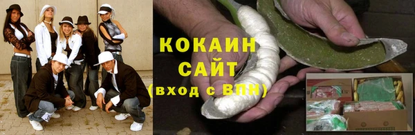 сатива Бородино