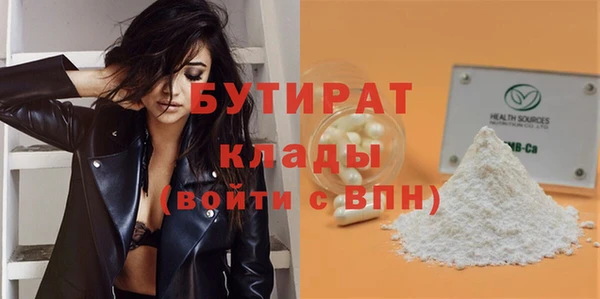 сатива Бородино
