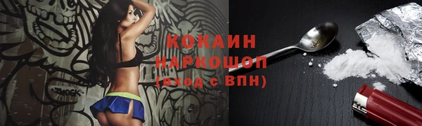 сатива Бородино