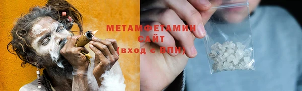 сатива Бородино