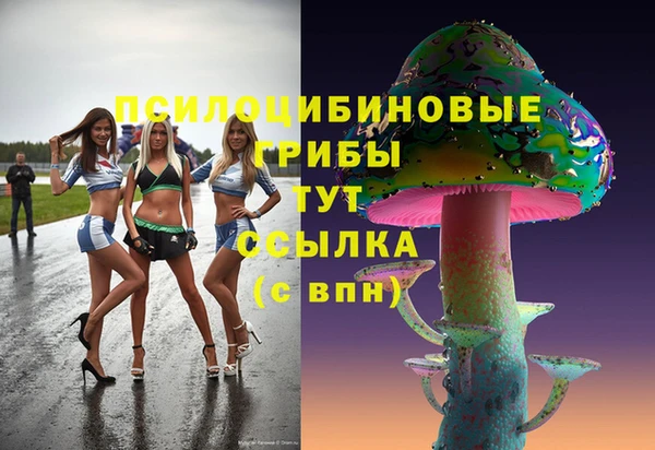 сатива Бородино