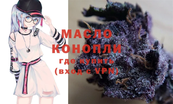 сатива Бородино