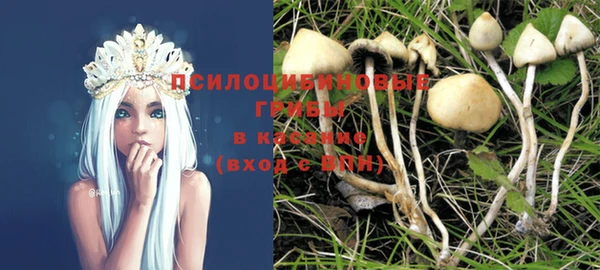 сатива Бородино