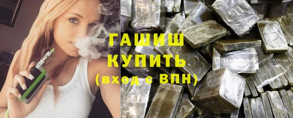сатива Бородино