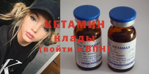 сатива Бородино