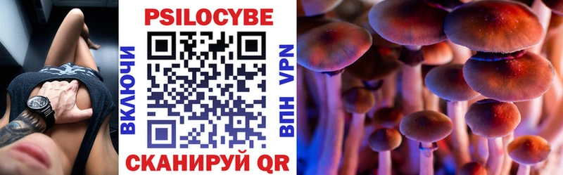 наркота  Полтавская  Псилоцибиновые грибы Cubensis 